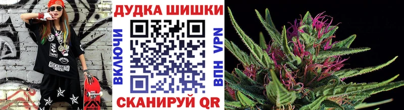 Конопля Bruce Banner  Шахунья 
